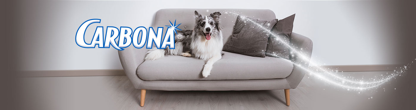 Limpiador de manchas mascotas carbona